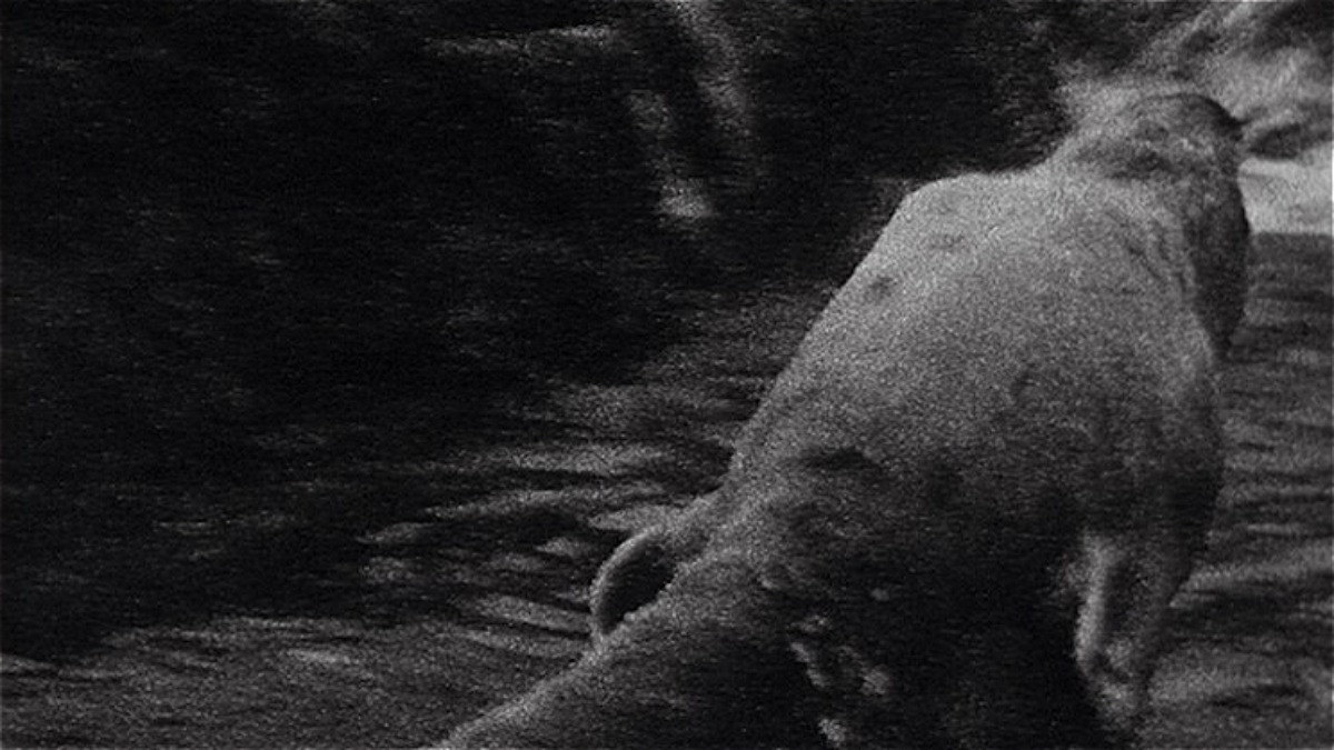 GEANNULEERD: Cinema Parenthèse